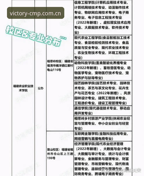 冠军体育平台登录通道稳定性评测：一份来自技术视角的实用指南